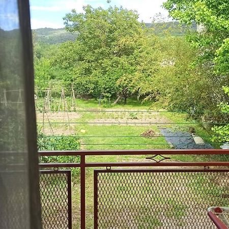 Ca La Merce - Agradable Casa En Amer Экстерьер фото